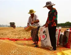 坎坤震巽乾兑艮离怎么读八卦形状详解-AYX